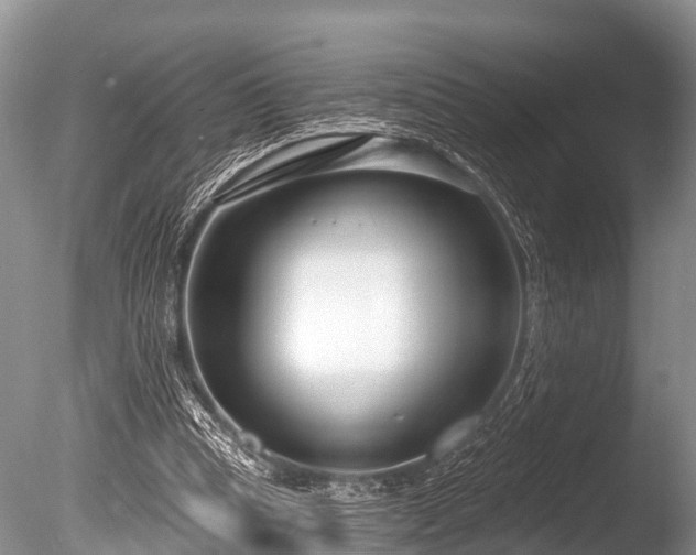 X0000086050345200703301112