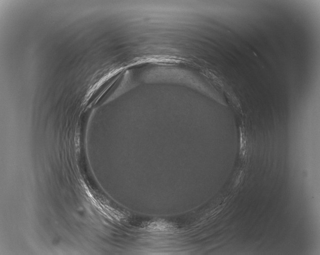 X0000086050348200703301112