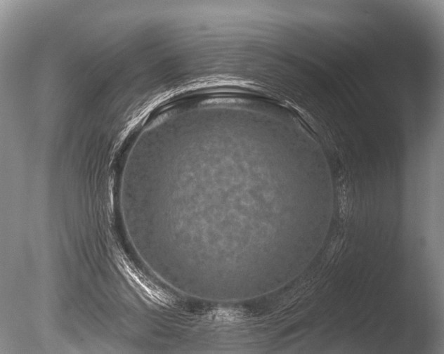 X0000086050350200703301112
