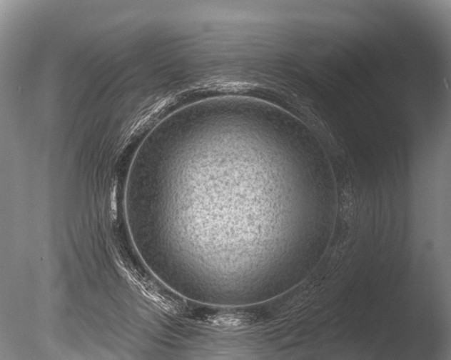 X0000086050358200703301112
