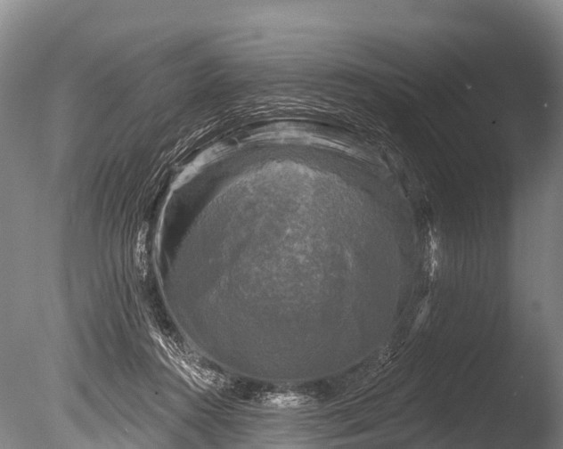 X0000086050360200703301112