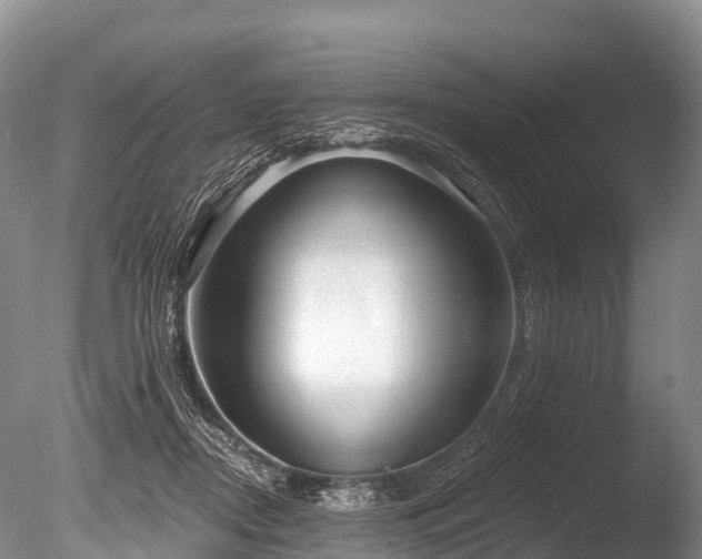 X0000086050362200703301112