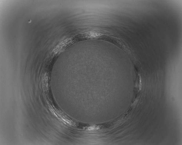 X0000086050366200703301112