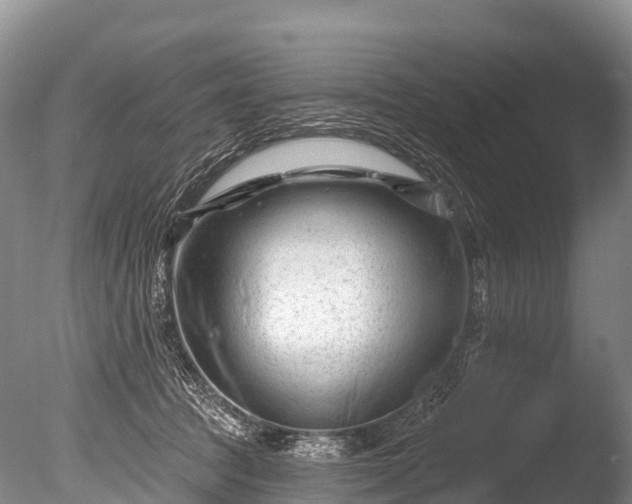 X0000086050369200703301112