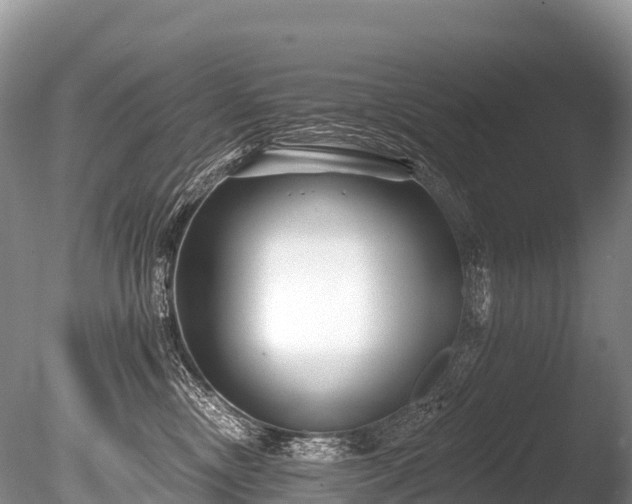 X0000086050378200703301112