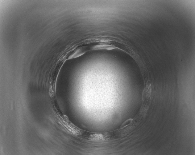 X0000086050381200703301112
