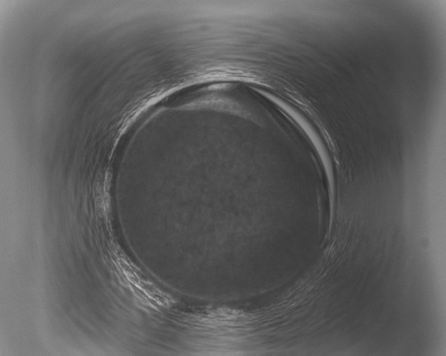 X0000086050387200703301111