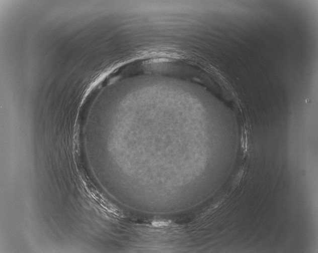 X0000086050388200703301111
