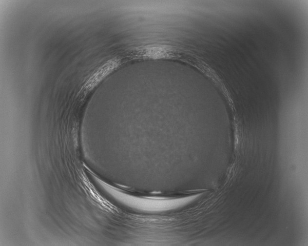X0000086050393200703301111