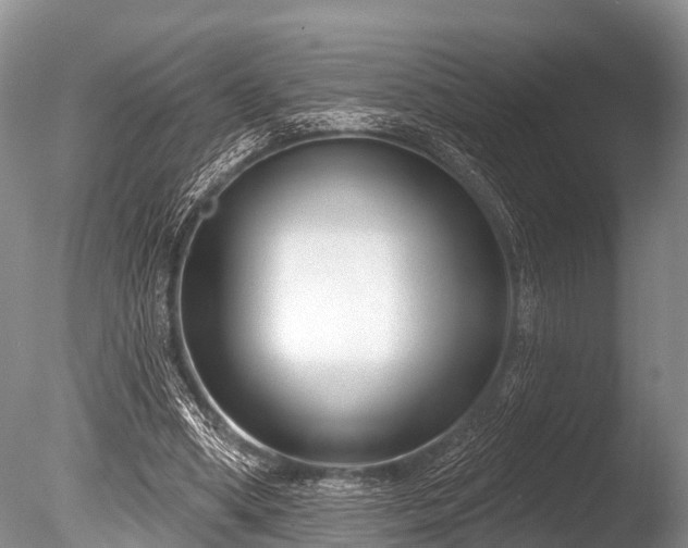 X0000086050394200703301111