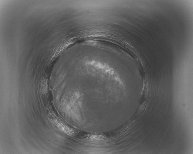 X0000086050401200703301111
