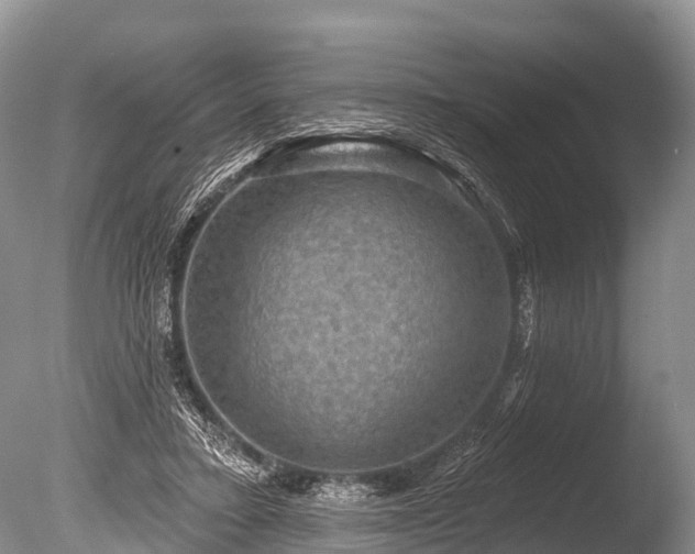X0000086050403200703301111