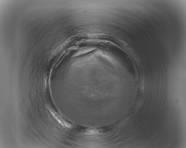 X0000086050405200703301111
