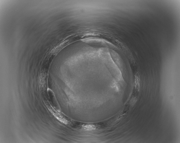 X0000086050409200703301111