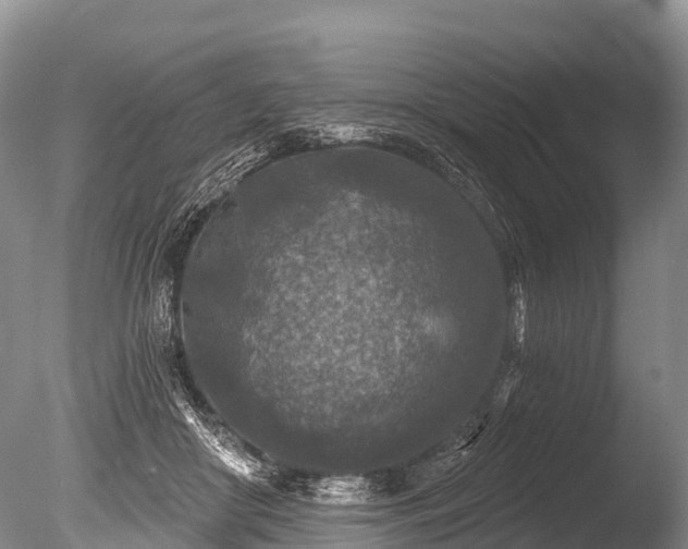 X0000086050410200703301111