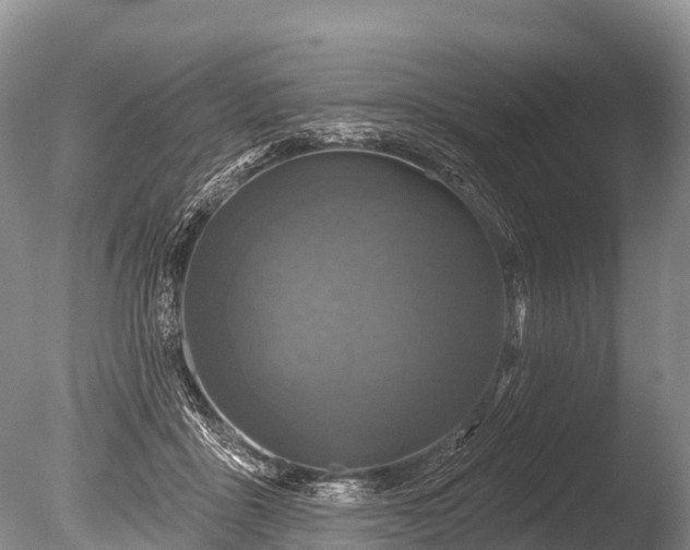 X0000086050411200703301111