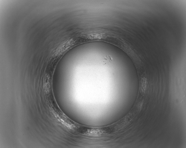 X0000086050414200703301111