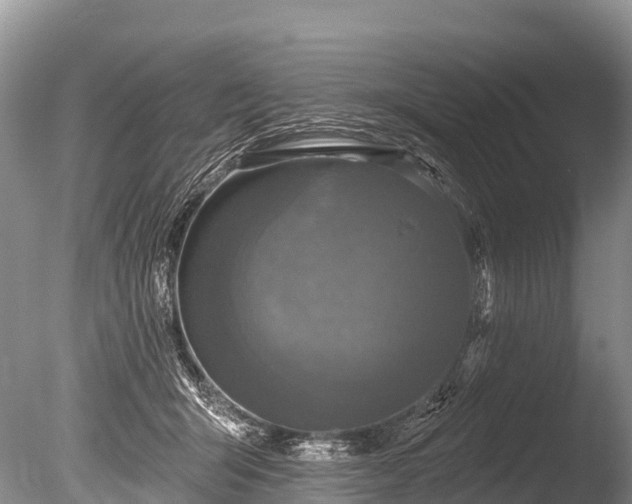 X0000086050415200703301111