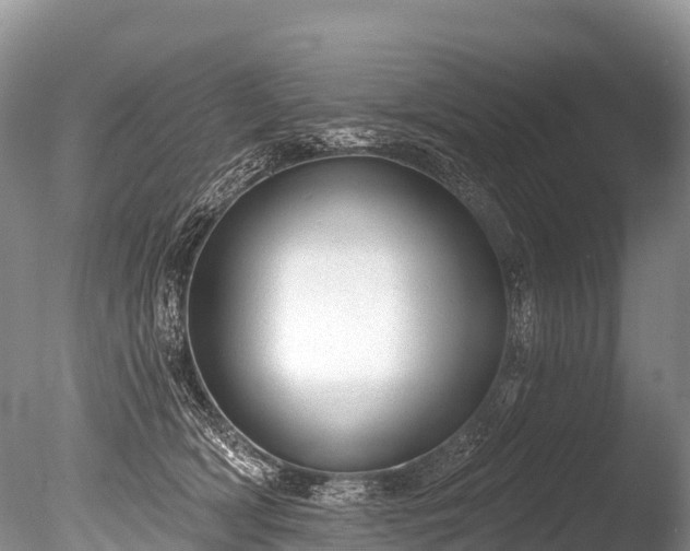 X0000086050418200703301111