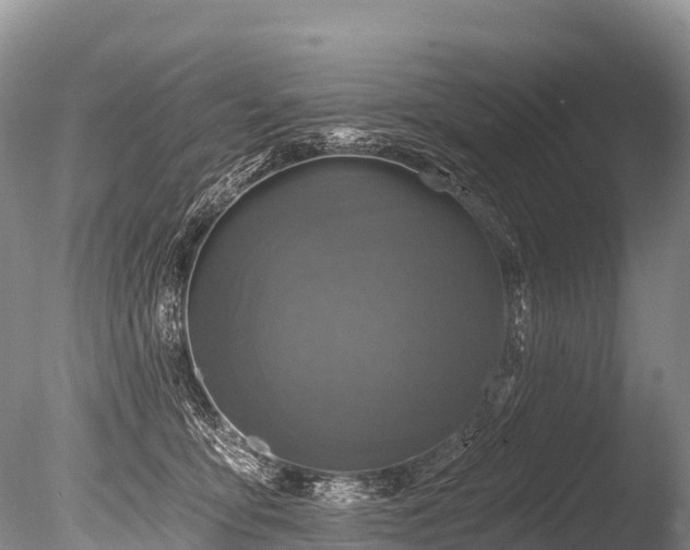 X0000086050419200703301111