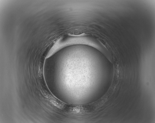 X0000086050420200703301111