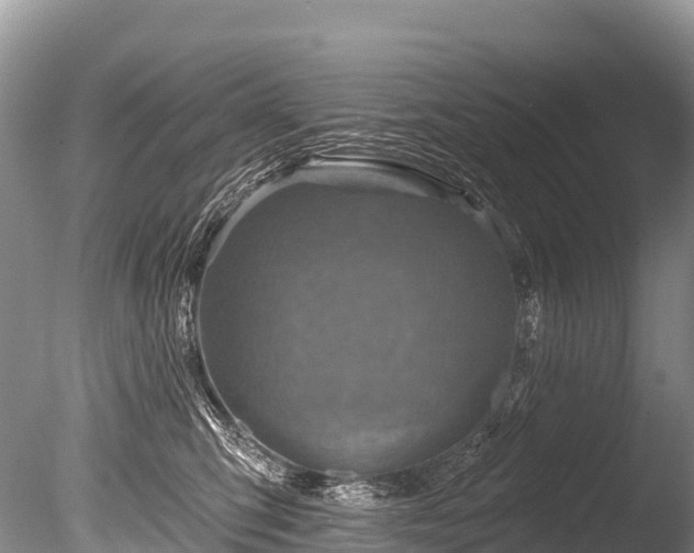X0000086050423200703301111