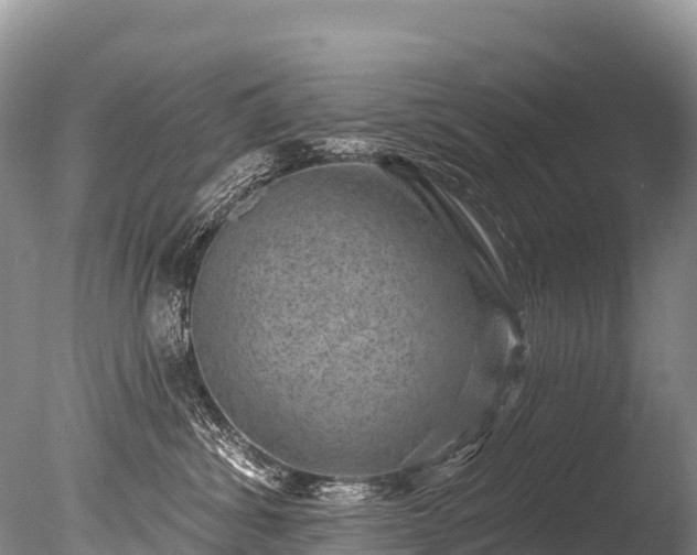 X0000086050428200703301111