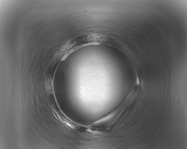 X0000086050429200703301111