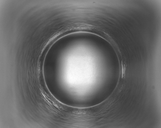 X0000086050435200703301110