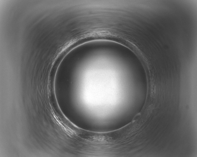 X0000086050439200703301110