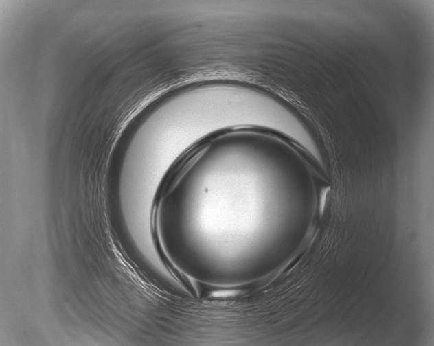X0000086050440200703301110