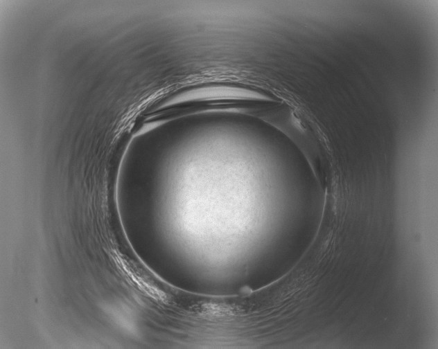 X0000086050442200703301110