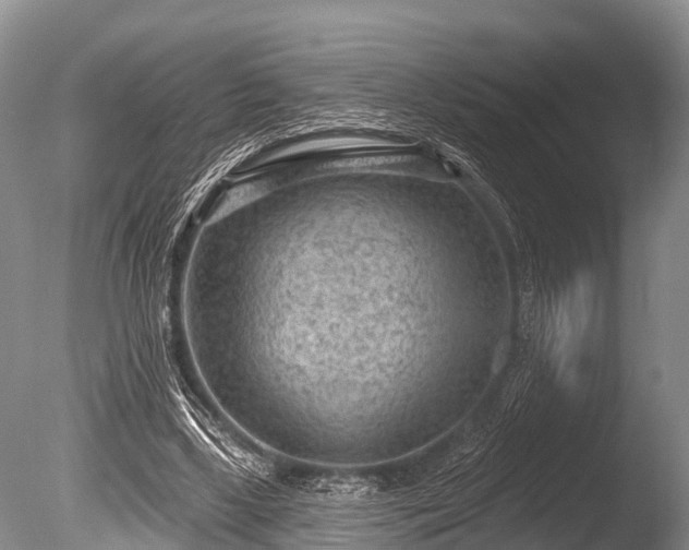 X0000086050443200703301110