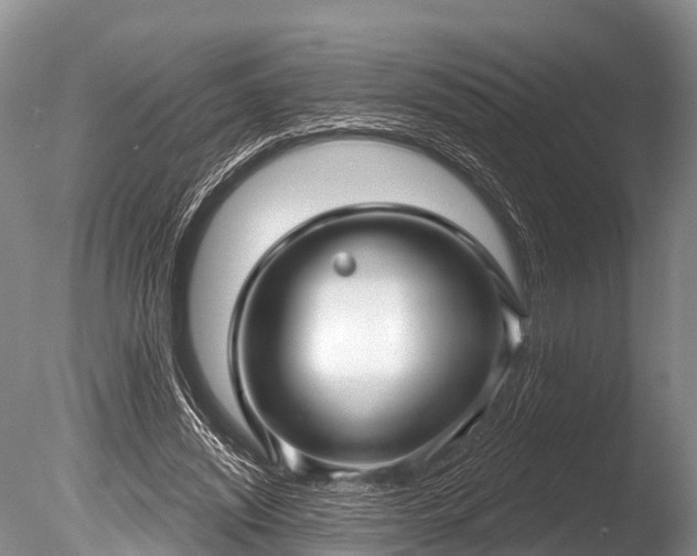 X0000086050444200703301110