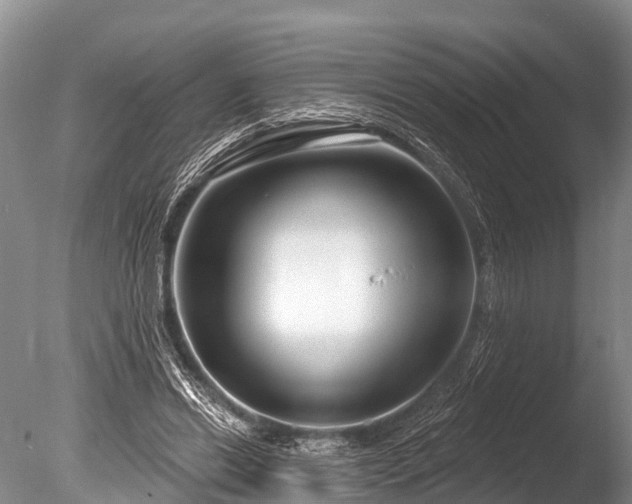 X0000086050446200703301110