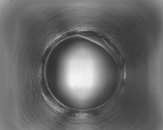X0000086050448200703301110