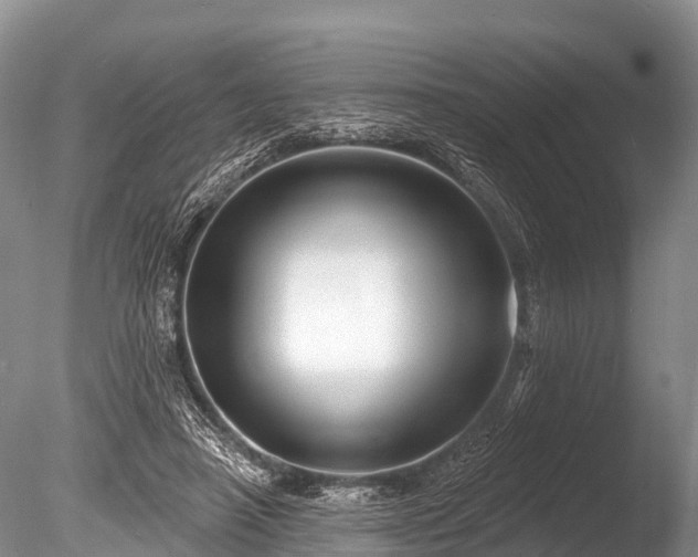 X0000086050450200703301110