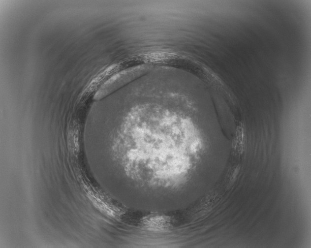X0000086050452200703301110