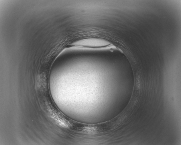 X0000086050457200703301110