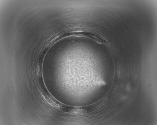 X0000086050459200703301110