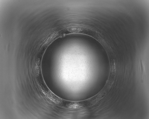 X0000086050460200703301110