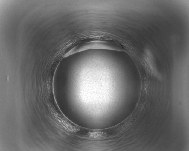 X0000086050461200703301110