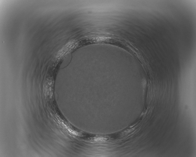X0000086050462200703301110