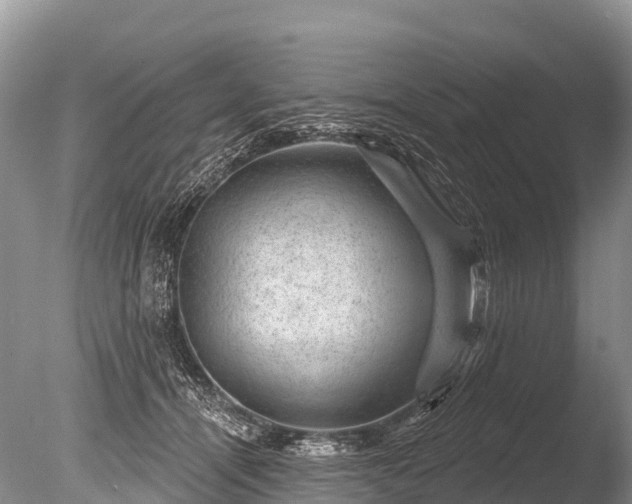 X0000086050464200703301110