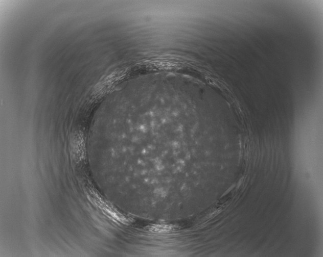 X0000086050465200703301110