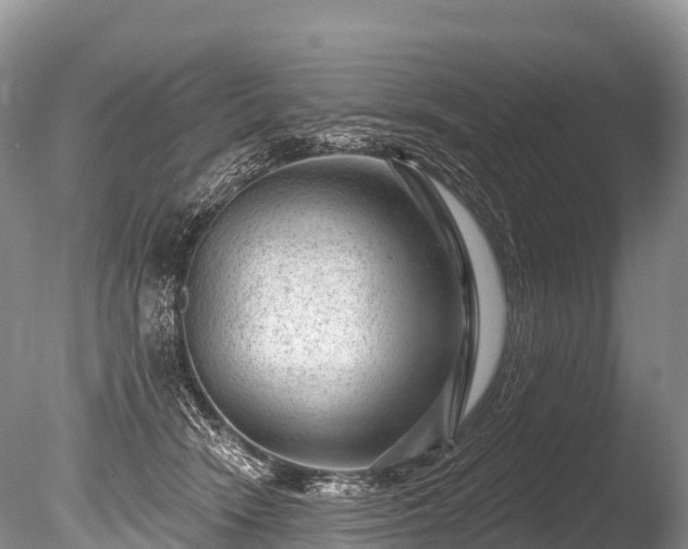 X0000086050466200703301110