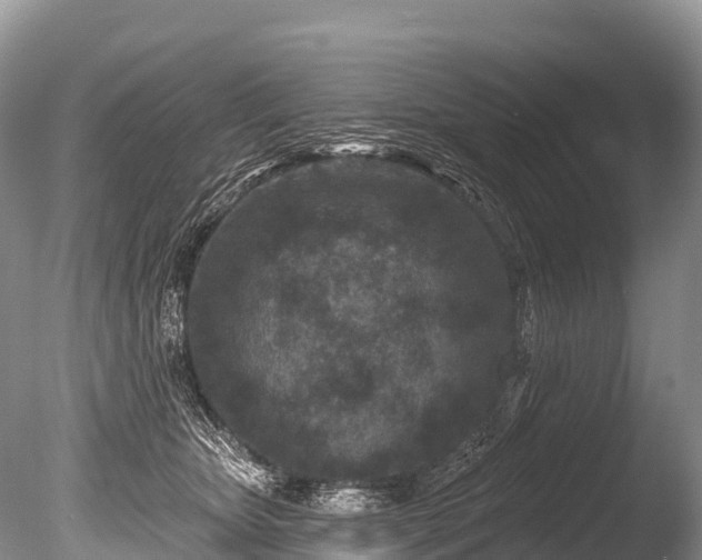 X0000086050467200703301110