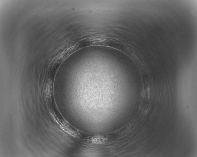 X0000086050468200703301110