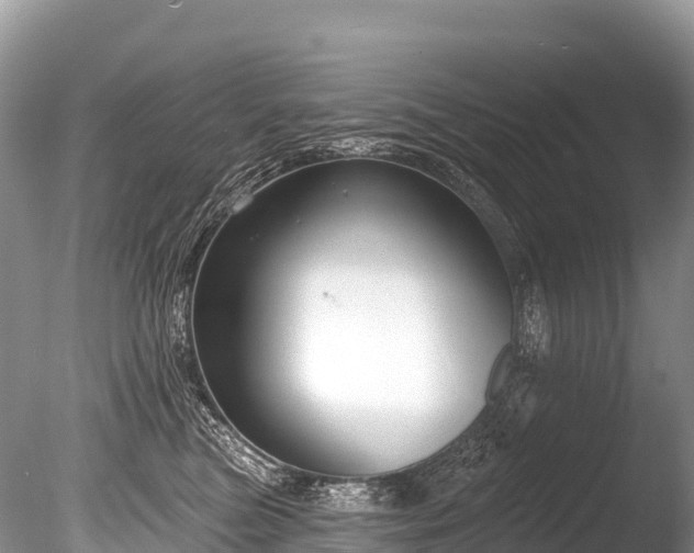 X0000086050473200703301110