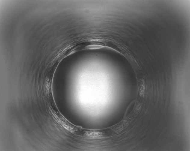 X0000086050476200703301111